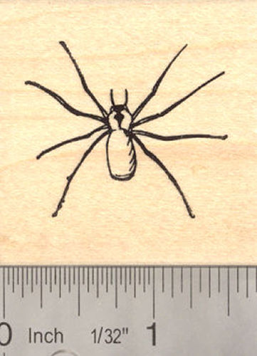 Brown Recluse Spider Rubber Stamp