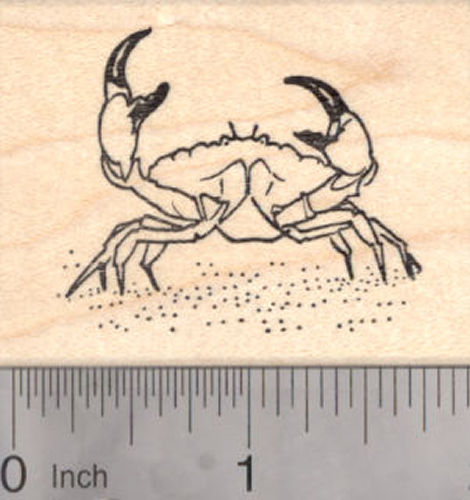 Crab Rubber Stamp, Stone Crab, Fish