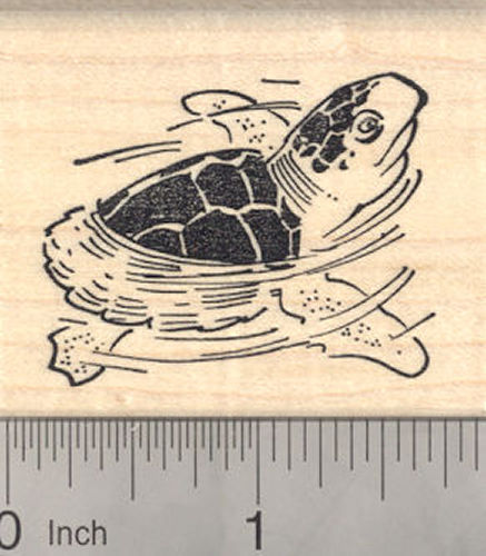 Baby Sea Turtle Rubber Stamp
