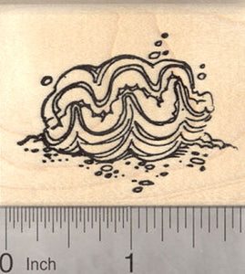 Giant Clam Rubber Stamp, Sea Mollusk, Native to Coral Reef