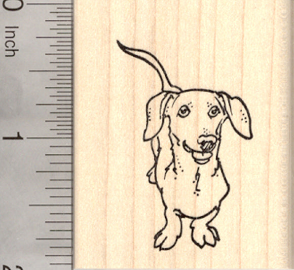 Dachshund Dog Rubber Stamp