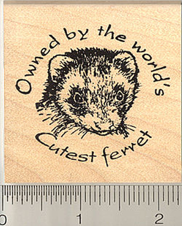 Ferret Rubber Stamp, Owned by world's cutest ferret