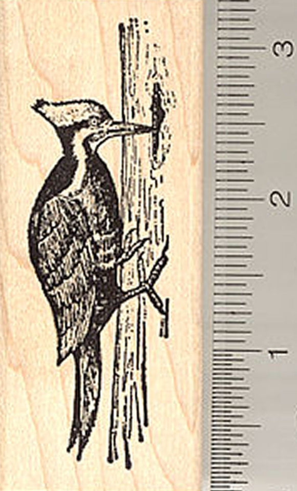 Pileated Woodpecker Rubber Stamp, Bird