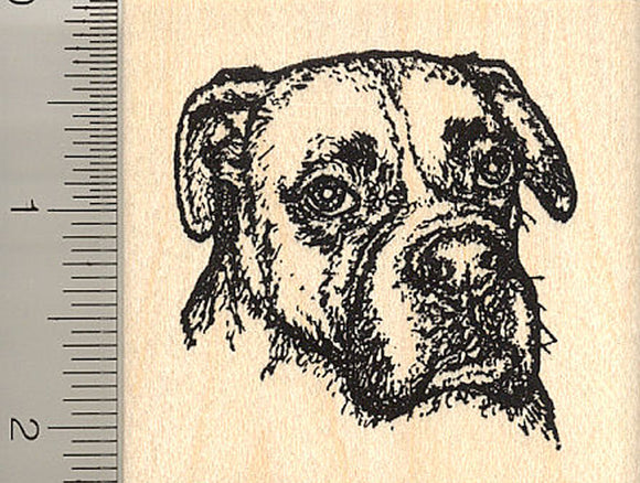 Detailed Boxer Dog Portrait Rubber Stamp (Riggley)