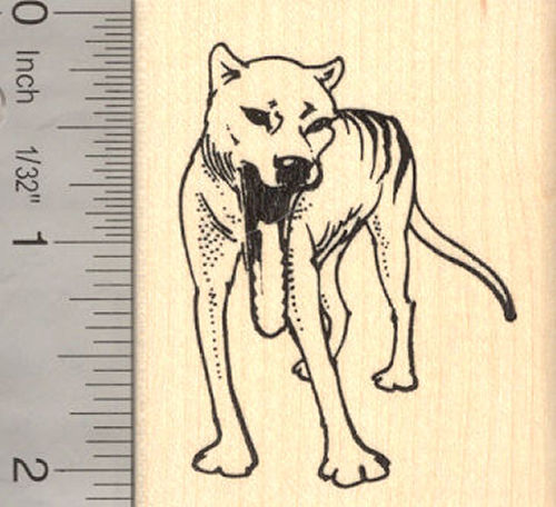 Thylacine (Tasmanian Tiger) Rubber Stamp