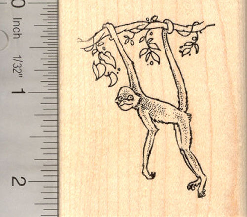 Spider Monkey Rubber Stamp