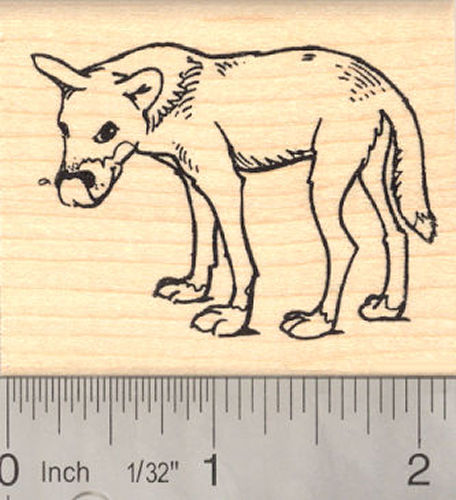 Australian Dingo Rubber Stamp Warrigal