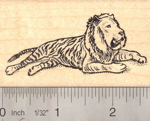 Liger Rubber Stamp, Lion Tiger Hybrid