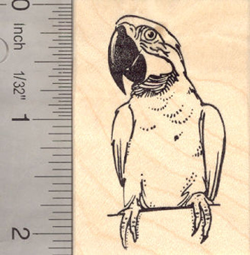 Macaw Parrot Rubber Stamp Bird Perched