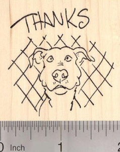 Thanks Pitbull Dog Rubber Stamp, Thank you