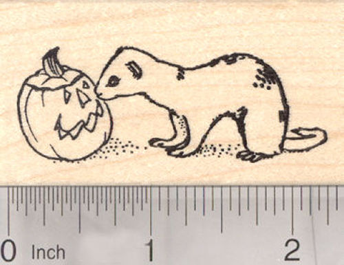 Halloween Ferret Rubber Stamp