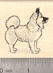 Icelandic Sheepdog Dog Rubber Stamp