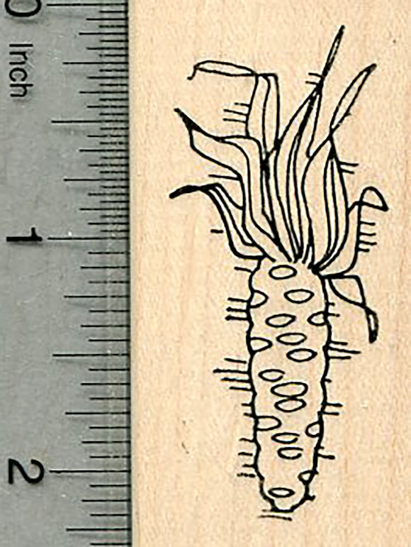Ear of Corn Rubber Stamp, Garden Vegetable
