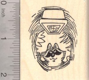 Raccoon Geocaching Rubber Stamp, Cache in Log