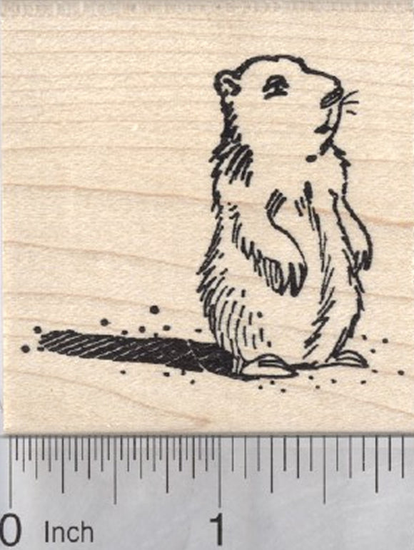 Groundhog Day Rubber Stamp, Marmot with Shadow