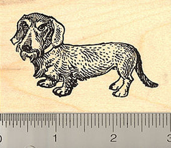 Wire Haired Dachshund Dog Rubber Stamp