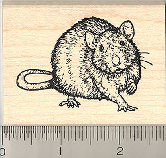 Rat Rubber Stamp, Realistic Pet Art