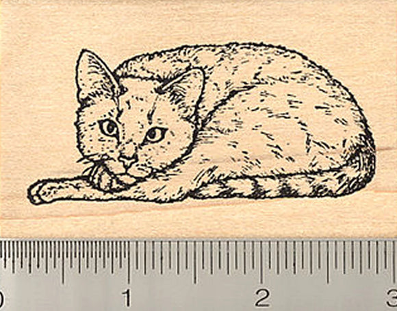 Cat Rubber Stamp, Mackerel Tabby Point