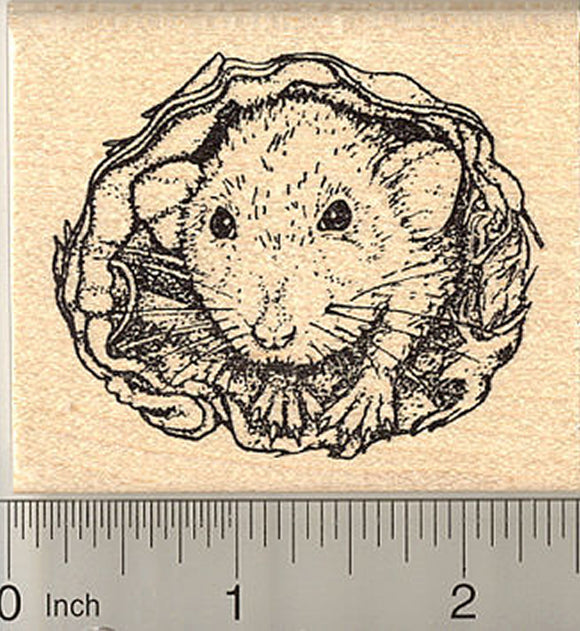 Dumbo Rat Rubber Stamp, Pet in Bedding