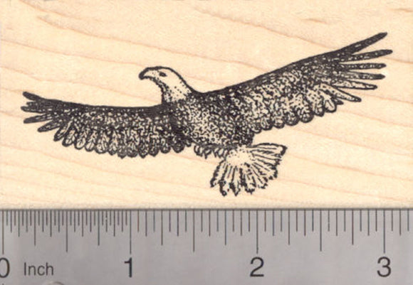 Soaring Eagle Rubber Stamp