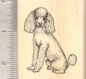 Poodle Sitting, Dog Rubber Stamp