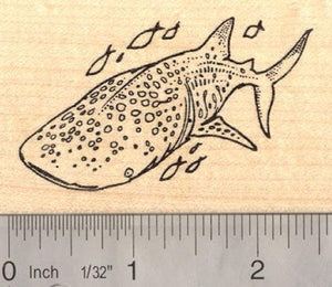 Whale Shark Rubber Stamp Australian Reef Fish