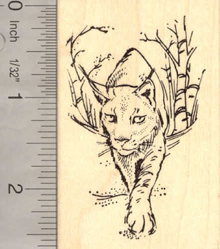 Lynx Rubber Stamp, Wildlife Bobcat, Cat