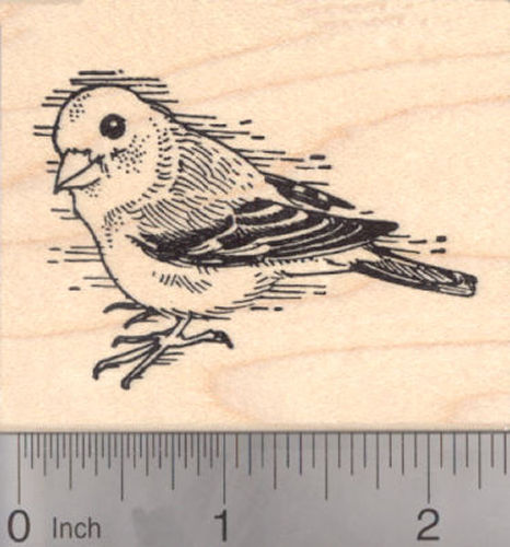 Finch Bird Rubber Stamp, Songbird