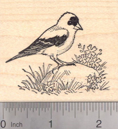 American Goldfinch Rubber Stamp, AKA Eastern Goldfinch, Wild Canary Finch