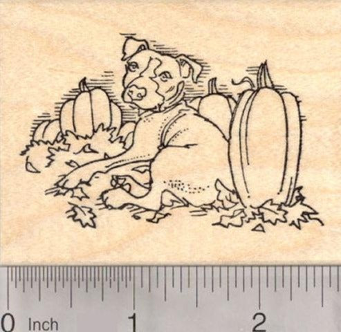 Pitbull Dog in Pumpkin Patch, Halloween or Thanksgiving Rubber Stamp