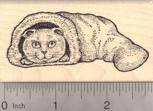 Scottish Fold Cat in Christmas Stocking Rubber Stamp