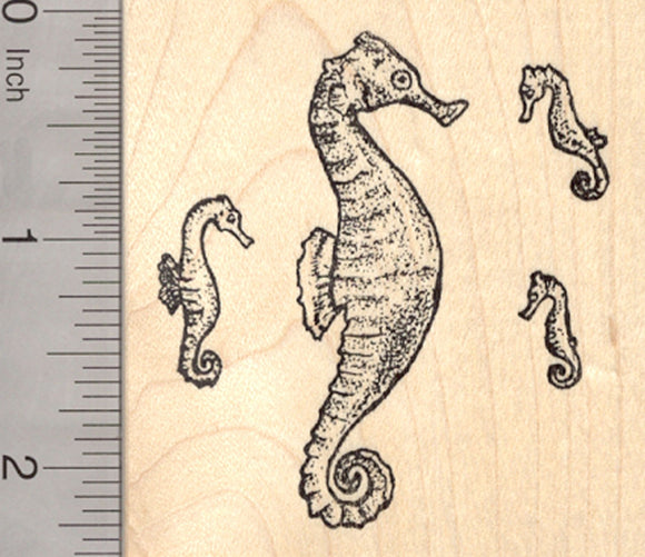 Seahorse Family Rubber Stamp, Daddy with Fry, Fish