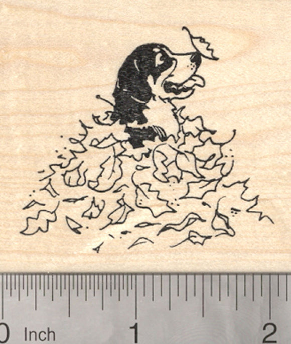 Bernese Mountain Dog Rubber Stamp, in Fall Leaves, Autumn Series
