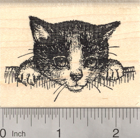 Black and White Cat Rubber Stamp, Kitten Portrait