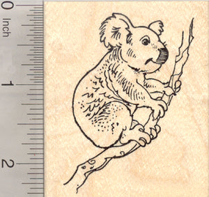 Koala Bear Rubber Stamp, Marsupial of Australia