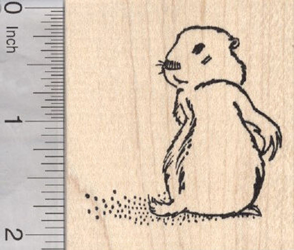 Groundhog Day Rubber Stamp, Looking Back, Woodchuck, Marmot