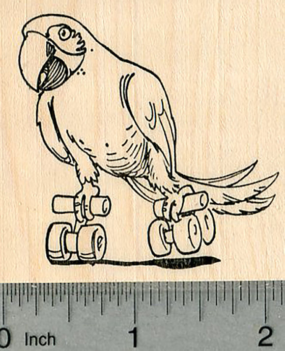 Skating Parrot Rubber Stamp, Macaw