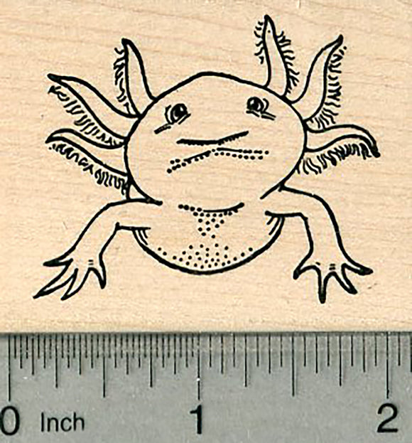 Axolotl Rubber Stamp, AKA Mexican Salamander or walking fish