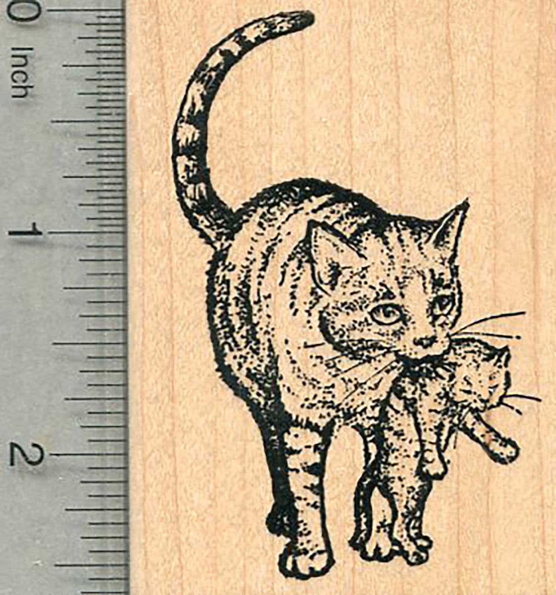 Tabby Cat Rubber Stamp 