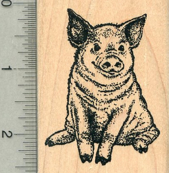 Pig Rubber Stamp, Spring Series, Year of the Pig