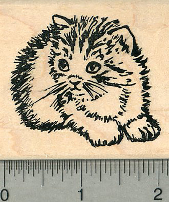 Kitten Rubber Stamp, Fuzzy Breed