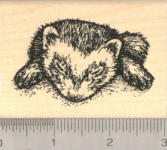 Sleeping Ferret Rubber Stamp