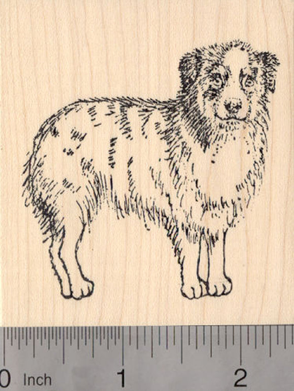 Australian Shepherd Rubber Stamp