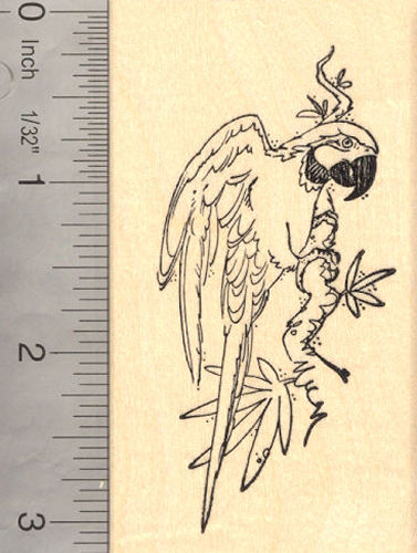 Parrot Rubber Stamp, Macaw, Bird