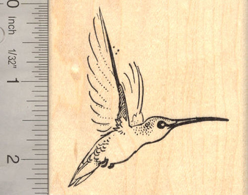 Hummingbird Rubber Stamp