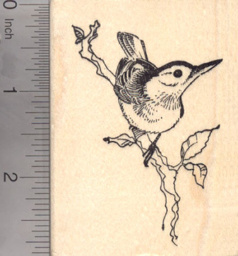 Nuthatch Bird Rubber Stamp