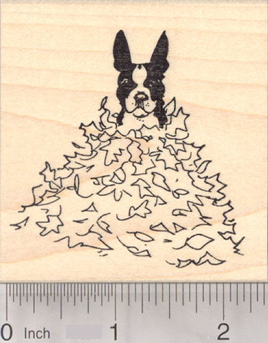 Boston Terrier Dog Sitting in Autumn Leaves, Thanksgiving Rubber Stamp