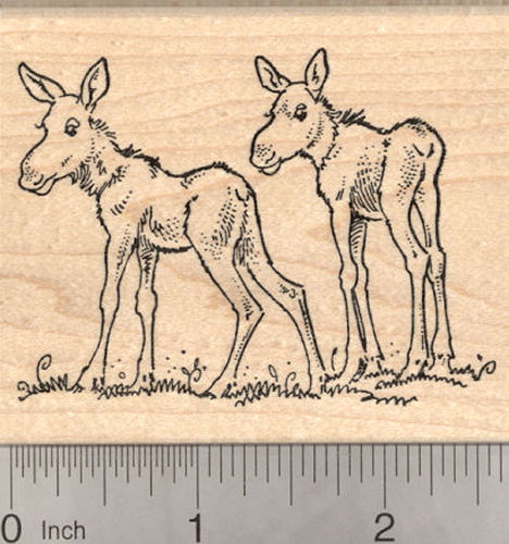 Moose Calf Twins Rubber Stamp, Baby Moose