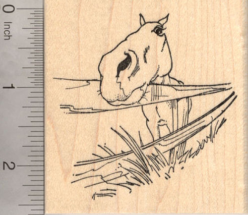 Horse with Fence Rubber Stamp