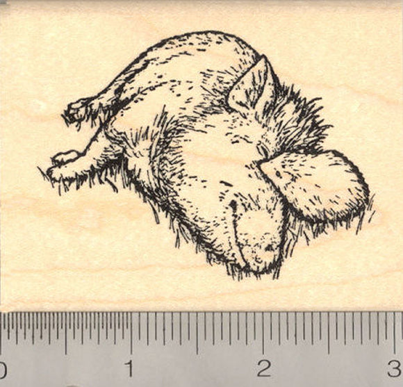 Friendship (Pot Bellied Pig and Hedgehog) Rubber Stamp